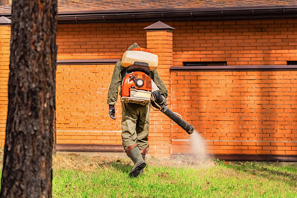 Trusted Ant Control service in Hanley Hills, MO - Nex Pest Control